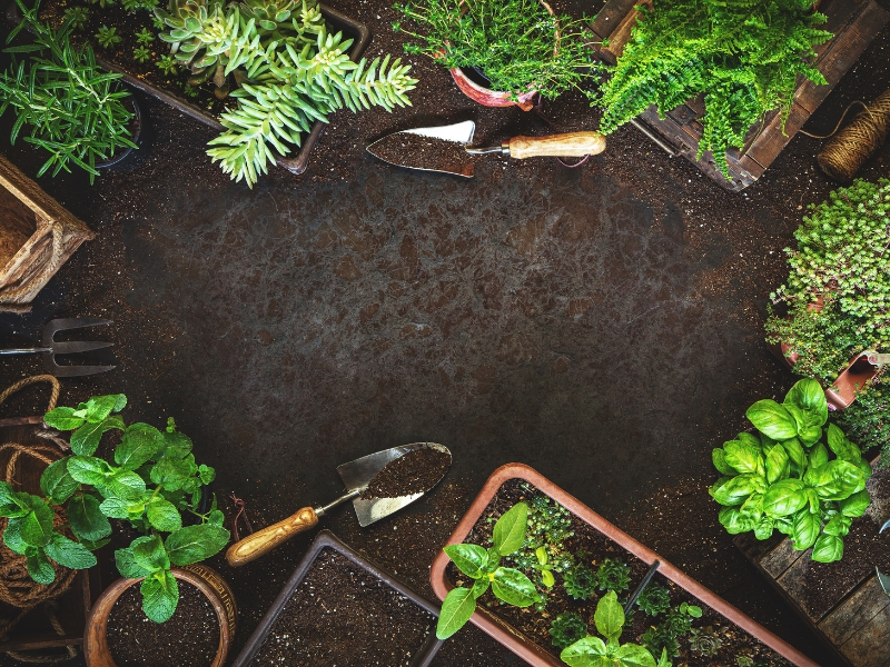 zagospodarowanie przestrzenne