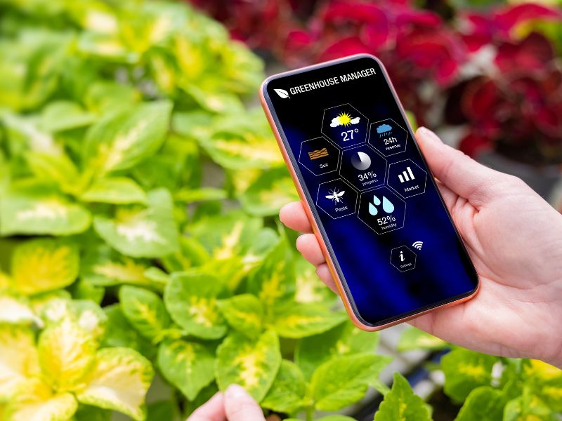 Inteligentny ogród - jak kontrolować go ze smartfona?