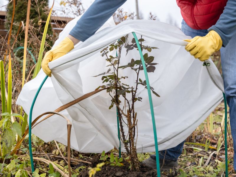 przygotowanie-ogrodu-na-zime-jak-zadbac-o-przestrzen-wokol-domu-wielomodulowego