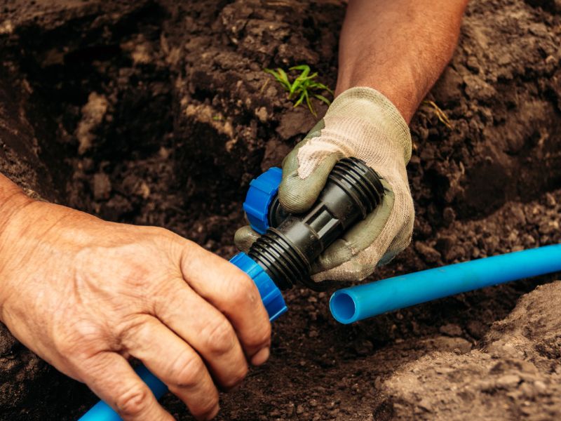 Jak rozprowadzić nawadnianie w ogrodzie?